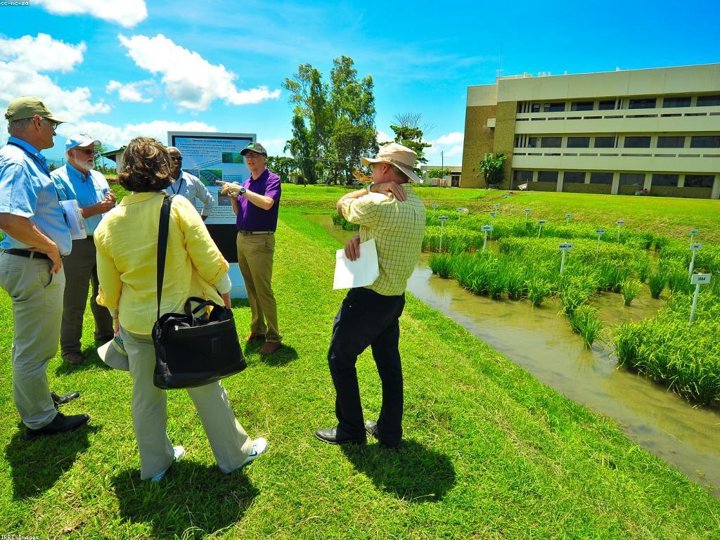 យល់ដឹងអំពីព័ត៌មានVIP: ចំណេះដឹងដែលអ្នកមិនអាចអន្ដរាយ