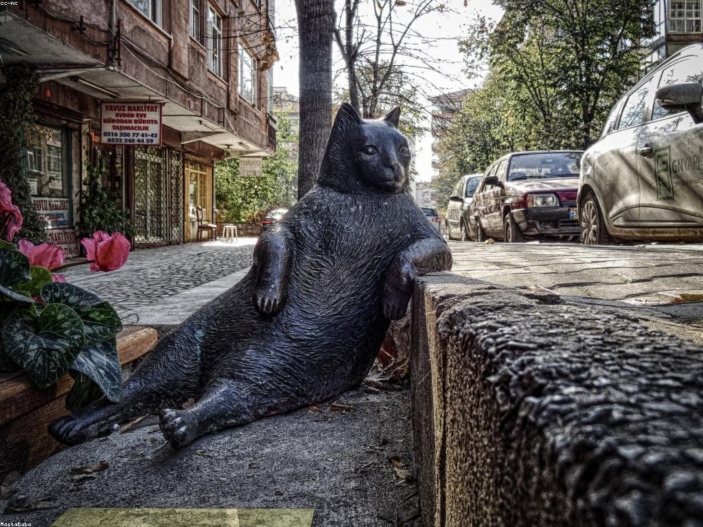 ព័ត៌មានអំពី VIP: គ្រប់យ៉ាងដែលអ្នកត្រូវដឹង